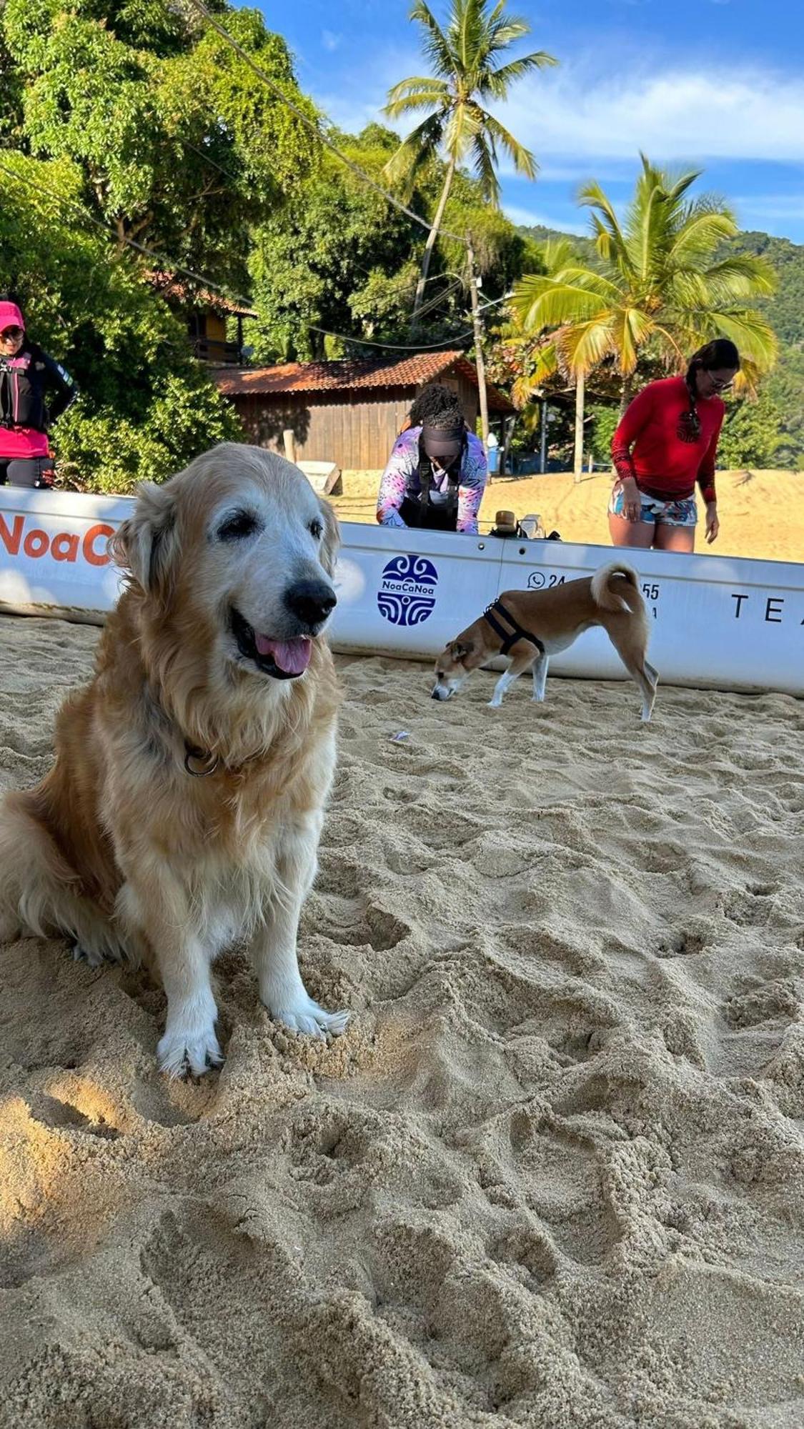 Pousada Canto Do Mar Ilha Grande Praia de Araçatiba Kültér fotó